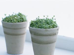 目黒区を中心とした東京の中古家具買取店