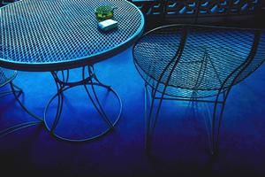 誰でも簡単に育てられる植物は何か